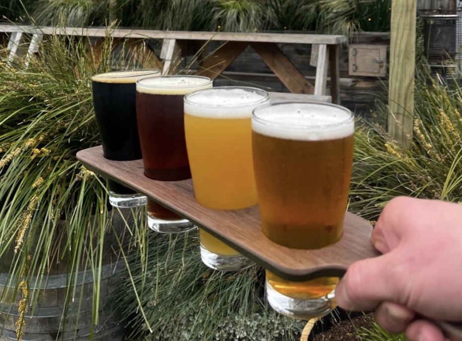 Beer Tasting Paddle